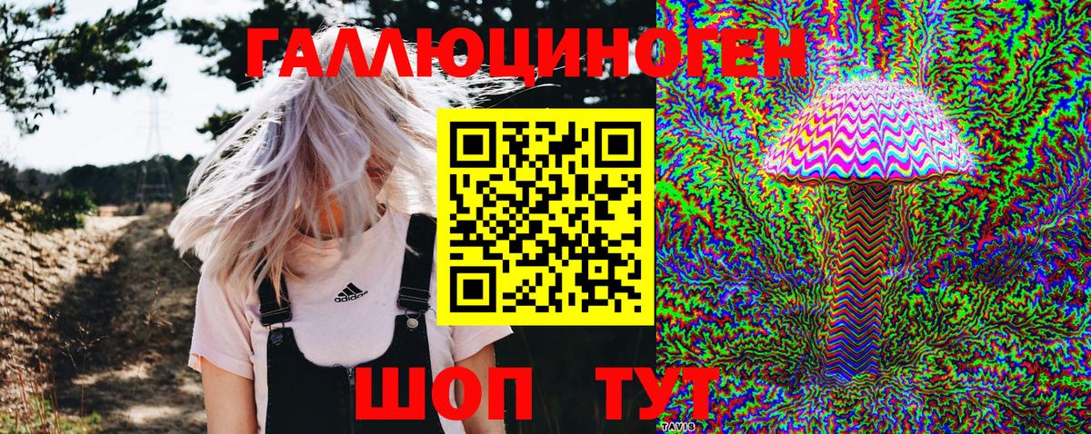 Галлюциногенные грибы Magic Shrooms  Вход с VPN  Тутаев  Псилоцибиновые грибы GOLDEN TEACHER 