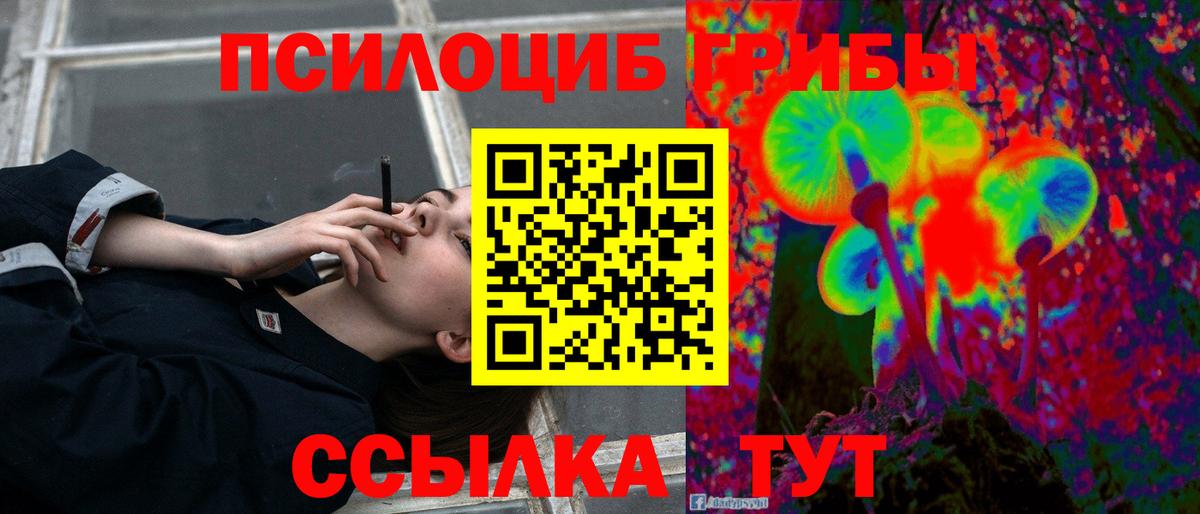 Псилоцибиновые грибы Psilocybe Тутаев